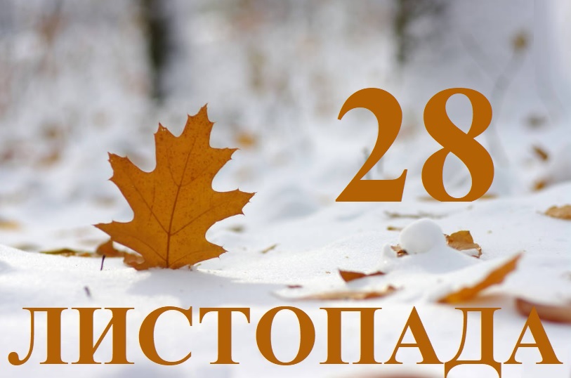 Яке свято 28 листопада: повний гід